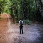 choosing between two paths